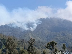 Kebakaran Hutan TNBTS Meluas Hingga Kabupaten Malang