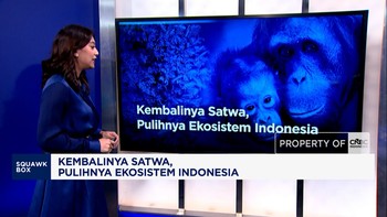Kembalinya Satwa, Pulihnya Ekosistem Indonesia