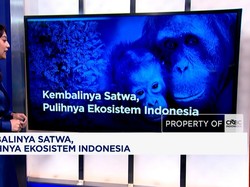 Kembalinya Satwa, Pulihnya Ekosistem Indonesia