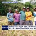 Koperasi Desa Merah Putih: Ketika Koperasi Menjadi Motor Ekonomi Desa