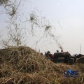 Potret Petani Panen Padi Saat Kekeringan, Air BKT Jadi Penyelamat