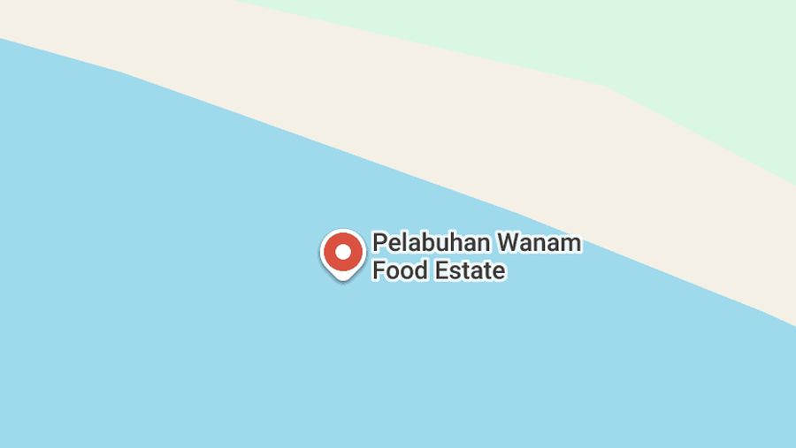 Pelabuhan Wanam di Papua. (Dok. Tangkapan Layar/Google Maps)