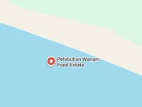Pelabuhan Wanam di Papua. (Dok. Tangkapan Layar/Google Maps)