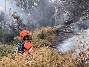Gunung Buthak Malang Kembali Terbakar!