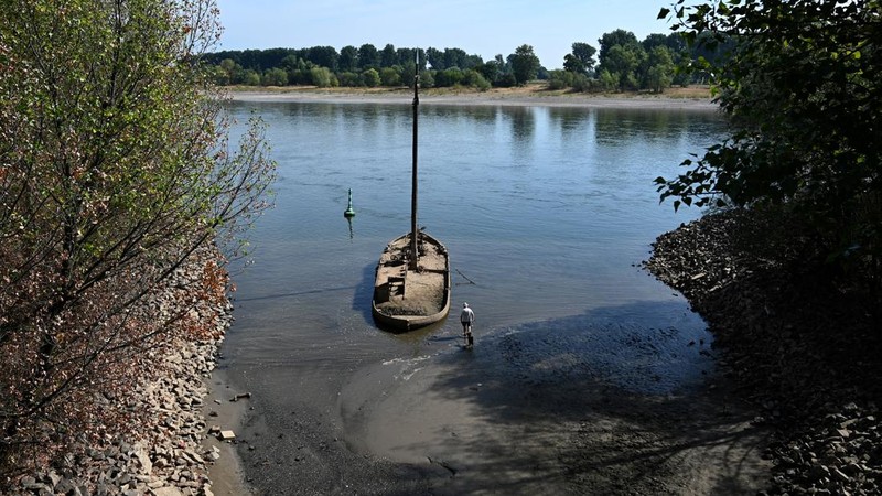 Sebuah bekas kapal penangkap belut yang berlumuran lumpur teronggok di tepi Sungai Rhine saat permukaan air menurun di dekat Neuss, Jerman, pada 4 Agustus 2026.