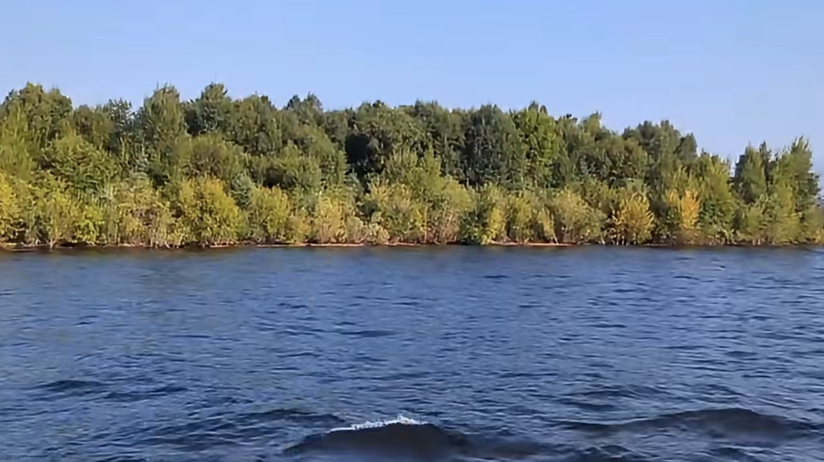 Heboh Hutan Tiba-Tiba Muncul di Tengah Danau, Semalam Hilang lagi