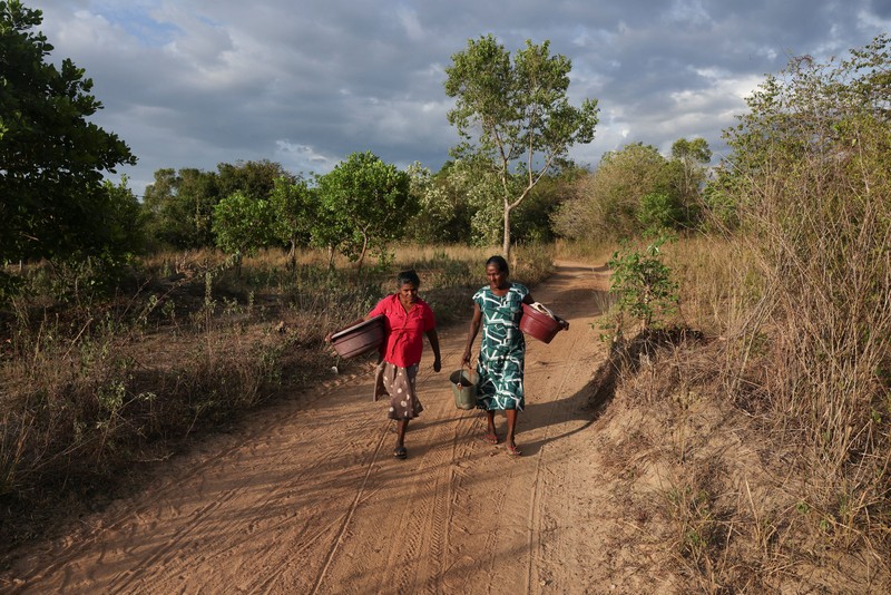 T.B. Leelawathie (49 tahun) dan temannya berjalan membawa ember dan bak saat hendak mandi di sungai yang telah mengering di Desa Galwela Yaya, Distrik Ampara, Sri Lanka, pada 27 Agustus 2026. (REUTERS/Priyanshu Singh)