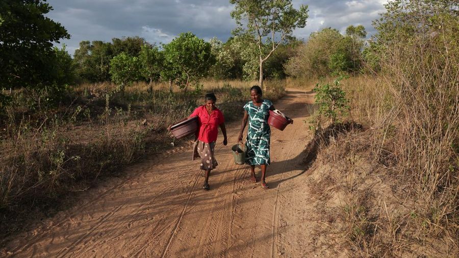 T.B. Leelawathie (49 tahun) dan temannya berjalan membawa ember dan bak saat hendak mandi di sungai yang telah mengering di Desa Galwela Yaya, Distrik Ampara, Sri Lanka, pada 27 Agustus 2026. (REUTERS/Priyanshu Singh)