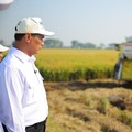 Dok Kementerian Pertanian