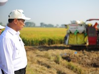 Dok Kementerian Pertanian