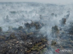 Ada Gerakan Patungan Beli Hutan, Bisakah Terwujud?