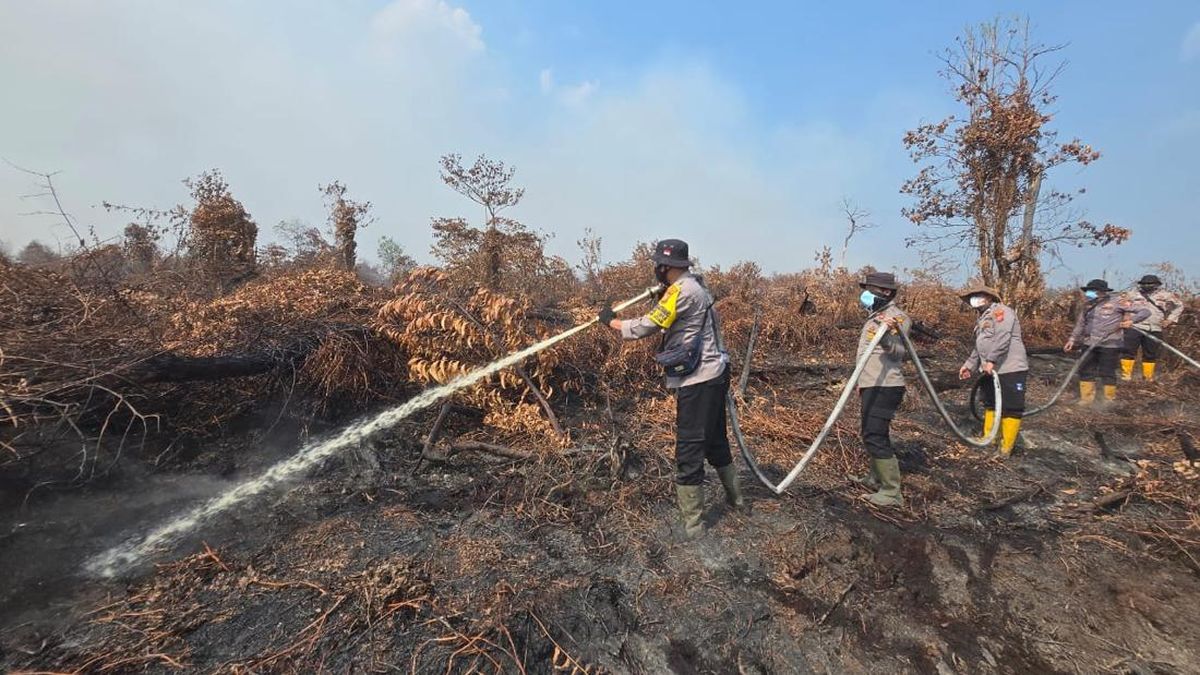 Polres Inhu Tangkap 2 Pelaku Karhutla di Peranap dan Seberida