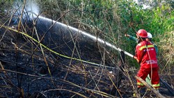 Otorita IKN Laporkan Terduga Pelaku Karhutla, 1 Perusahaan Dijatuhi Sanksi