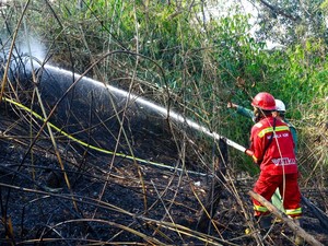 Otorita IKN Laporkan Terduga Pelaku Karhutla, 1 Perusahaan Dijatuhi Sanksi