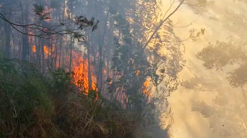Kebakaran hutan dan lahan (karhutla) di kawasan Gunung Ungup-Ungup, Jawa Timur, terpantau meluas hingga memasuki wilayah Kabupaten Bondowoso pada Jumat (4/9/2026). (Dok. BNPB)