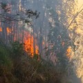 Kebakaran hutan dan lahan (karhutla) di kawasan Gunung Ungup-Ungup, Jawa Timur, terpantau meluas hingga memasuki wilayah Kabupaten Bondowoso pada Jumat (4/9/2026). (Dok. BNPB)