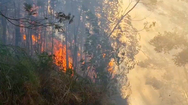 Kebakaran hutan dan lahan (karhutla) di kawasan Gunung Ungup-Ungup, Jawa Timur, terpantau meluas hingga memasuki wilayah Kabupaten Bondowoso pada Jumat (4/9/2026).