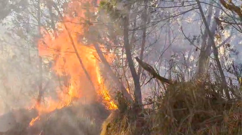 Kebakaran hutan dan lahan (karhutla) di kawasan Gunung Ungup-Ungup, Jawa Timur, terpantau meluas hingga memasuki wilayah Kabupaten Bondowoso pada Jumat (4/9/2026). (Dok. BNPB)