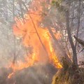 Kebakaran hutan dan lahan (karhutla) di kawasan Gunung Ungup-Ungup, Jawa Timur, terpantau meluas hingga memasuki wilayah Kabupaten Bondowoso pada Jumat (4/9/2026). (Dok. BNPB)