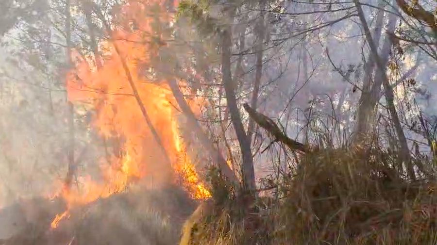 Kebakaran hutan dan lahan (karhutla) di kawasan Gunung Ungup-Ungup, Jawa Timur, terpantau meluas hingga memasuki wilayah Kabupaten Bondowoso pada Jumat (4/9/2026).