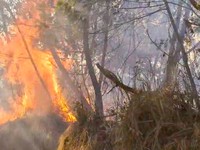 Kebakaran hutan dan lahan (karhutla) di kawasan Gunung Ungup-Ungup, Jawa Timur, terpantau meluas hingga memasuki wilayah Kabupaten Bondowoso pada Jumat (4/9/2026). (Dok. BNPB)