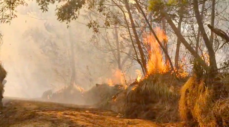 Kebakaran hutan dan lahan (karhutla) di kawasan Gunung Ungup-Ungup, Jawa Timur, terpantau meluas hingga memasuki wilayah Kabupaten Bondowoso pada Jumat (4/9/2026). (Dok. BNPB)