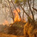 Kebakaran hutan dan lahan (karhutla) di kawasan Gunung Ungup-Ungup, Jawa Timur, terpantau meluas hingga memasuki wilayah Kabupaten Bondowoso pada Jumat (4/9/2026). (Dok. BNPB)