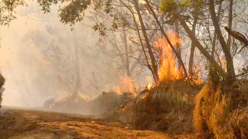 Kebakaran hutan dan lahan (karhutla) di kawasan Gunung Ungup-Ungup, Jawa Timur, terpantau meluas hingga memasuki wilayah Kabupaten Bondowoso pada Jumat (4/9/2026).