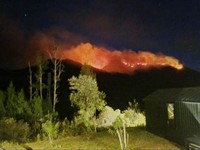 Kebakaran hutan dan lahan (karhutla) di kawasan Gunung Ungup-Ungup, Jawa Timur, terpantau meluas hingga memasuki wilayah Kabupaten Bondowoso pada Jumat (4/9/2026). (Dok. BNPB)