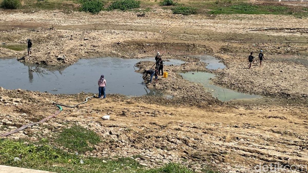 Penampakan Terkini Sungai Juana Pati Lokasi Warga Panen Ikan hingga 10 Ton