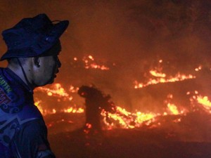 712 Karhutla Kalteng Tertangani di 2026, Ada 22 Operasi Penyelamatan Satwa