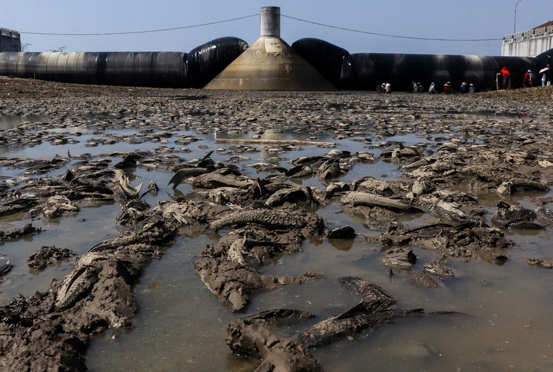 Kondisi dasar sungai yang mengering di bendungan Karet Sungai Juana akibat surutnya permukaan air selama musim kemarau di Pati, Jawa Tengah, Kamis (3/9/2026). (REUTERS/Ragil Kuswanto)