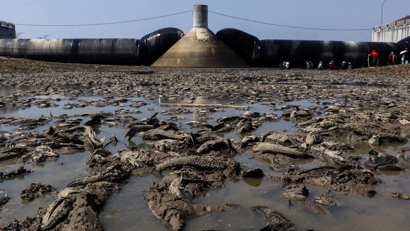 Kondisi dasar sungai yang mengering di bendungan Karet Sungai Juana akibat surutnya permukaan air selama musim kemarau di Pati, Jawa Tengah, Kamis (3/9/2026). (REUTERS/Ragil Kuswanto)
