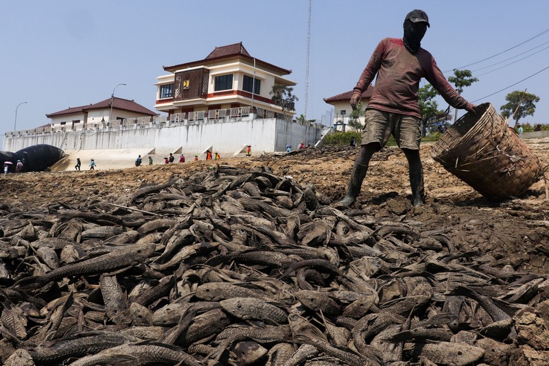 Kondisi dasar sungai yang mengering di bendungan Karet Sungai Juana akibat surutnya permukaan air selama musim kemarau di Pati, Jawa Tengah, Kamis (3/9/2026). (REUTERS/Ragil Kuswanto)