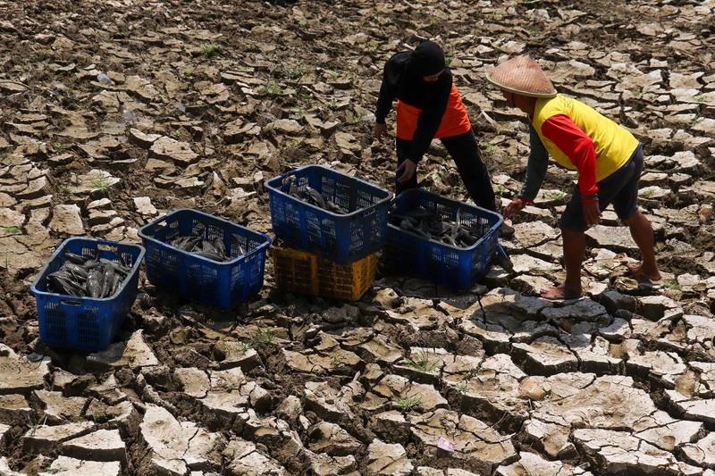 Kondisi dasar sungai yang mengering di bendungan Karet Sungai Juana akibat surutnya permukaan air selama musim kemarau di Pati, Jawa Tengah, Kamis (3/9/2026). (REUTERS/Ragil Kuswanto)