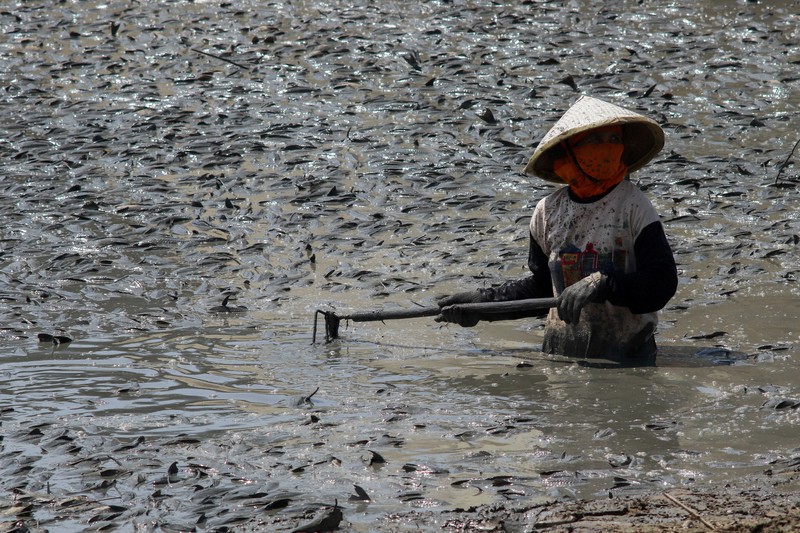 Kondisi dasar sungai yang mengering di bendungan Karet Sungai Juana akibat surutnya permukaan air selama musim kemarau di Pati, Jawa Tengah, Kamis (3/9/2026). (REUTERS/Ragil Kuswanto)