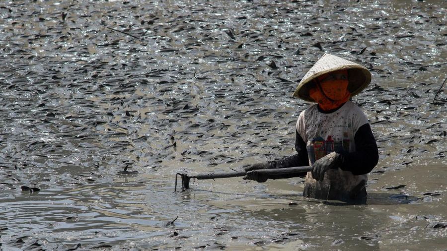 Kondisi dasar sungai yang mengering di bendungan Karet Sungai Juana akibat surutnya permukaan air selama musim kemarau di Pati, Jawa Tengah, Kamis (3/9/2026). (REUTERS/Ragil Kuswanto)
