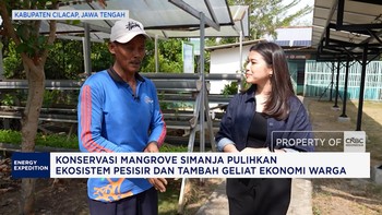 Konservasi Mangrove Simanja Pulihkan Ekosistem Pesisir