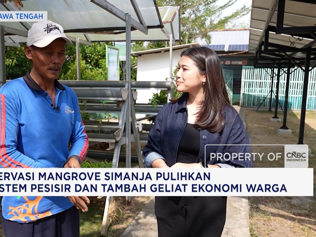 Konservasi Mangrove Simanja Pulihkan Ekosistem Pesisir