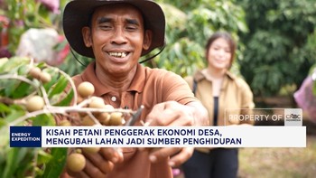 Lahan Belukar Disulap Jadi Sumber Cuan, Ada Kelengkeng & Durian
