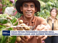 Lahan Belukar Disulap Jadi Sumber Cuan, Ada Kelengkeng & Durian