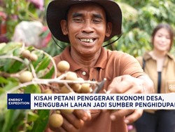 Lahan Belukar Disulap Jadi Sumber Cuan, Ada Kelengkeng & Durian