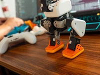 Microduck. (Dok. microduck.net)
