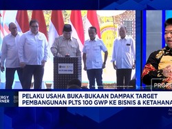Prabowo Mau Bangun PLTS 100 GWp, Pengusaha Minta Regulasi Dipermudah