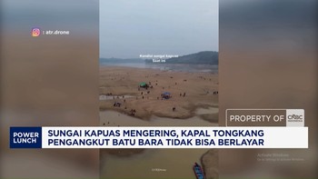Sungai Mengering, Ikan Mati hingga Tongkang Batu Bara Terhenti