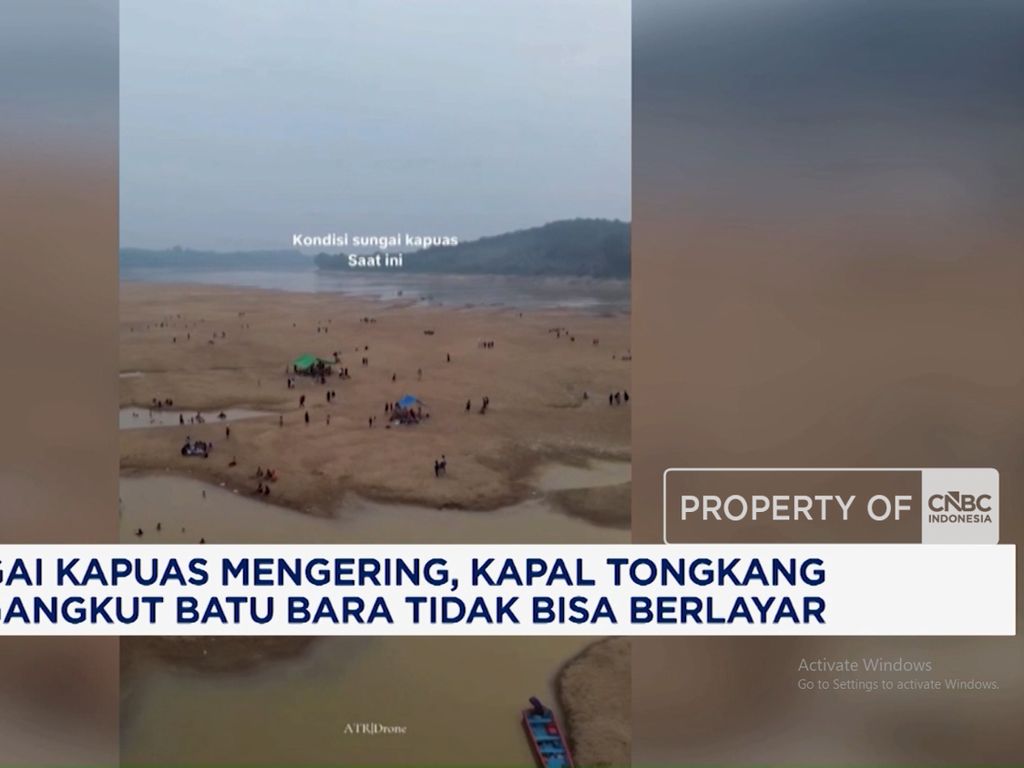 Sungai Mengering, Ikan Mati hingga Tongkang Batu Bara Terhenti