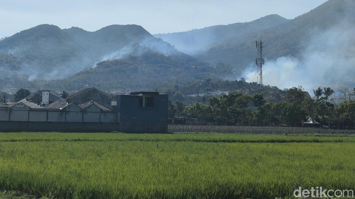 Kebakaran di Kaki Gunung Guntur Garut