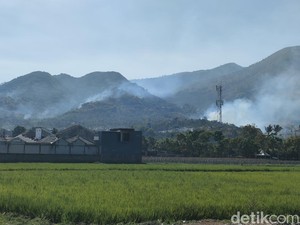 Kebakaran di Kaki Gunung Guntur Garut