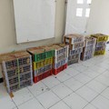 Kementerian Kehutanan menggagalkan dugaan perdagangan satwa liar dilindungi di Pelabuhan Jamrud, Surabaya, pada Sabtu (29/8/2026). (Dok. Kementerian Kehutanan)