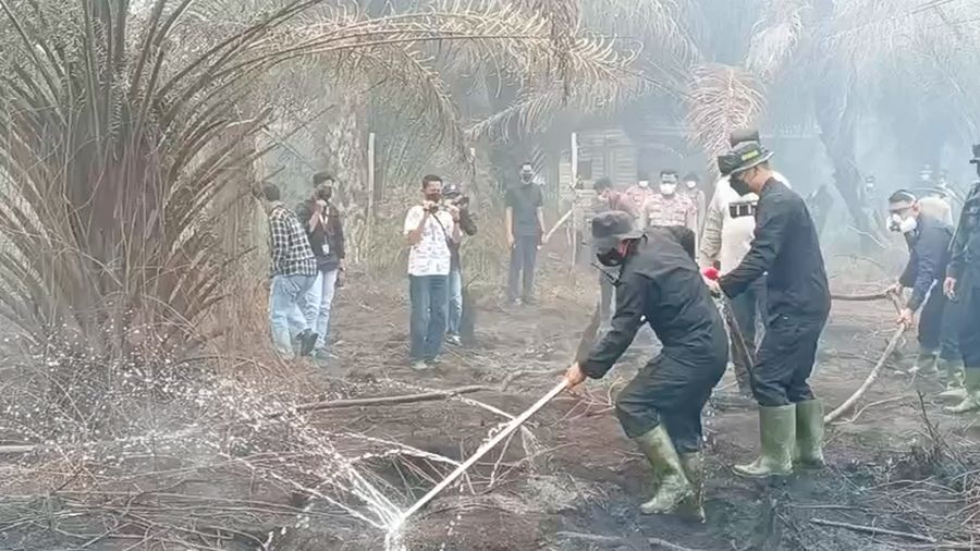 Polda Kalimantan Tengah (Kalteng) mendapat dukungan inovasi dari Korbrimob Polri untuk menangani kebakaran hutan dan lahan (karhutla), khususnya di kawasan gambut.